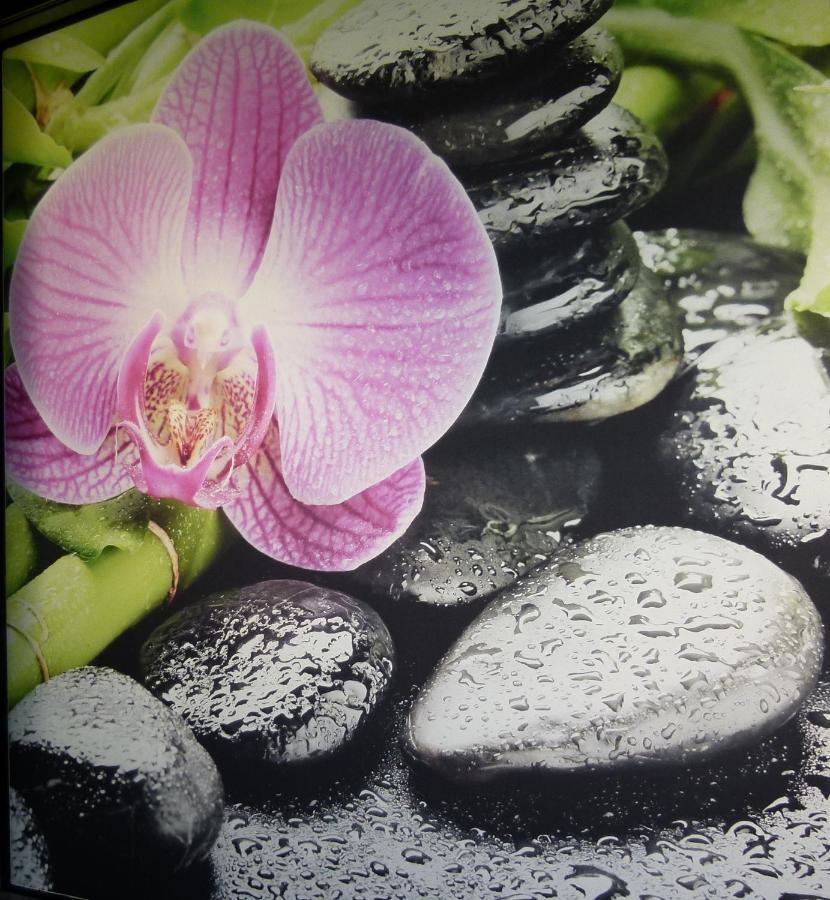 Boutique Hotel Bel Sito Wellness & Private Spa Бардолино Екстериор снимка